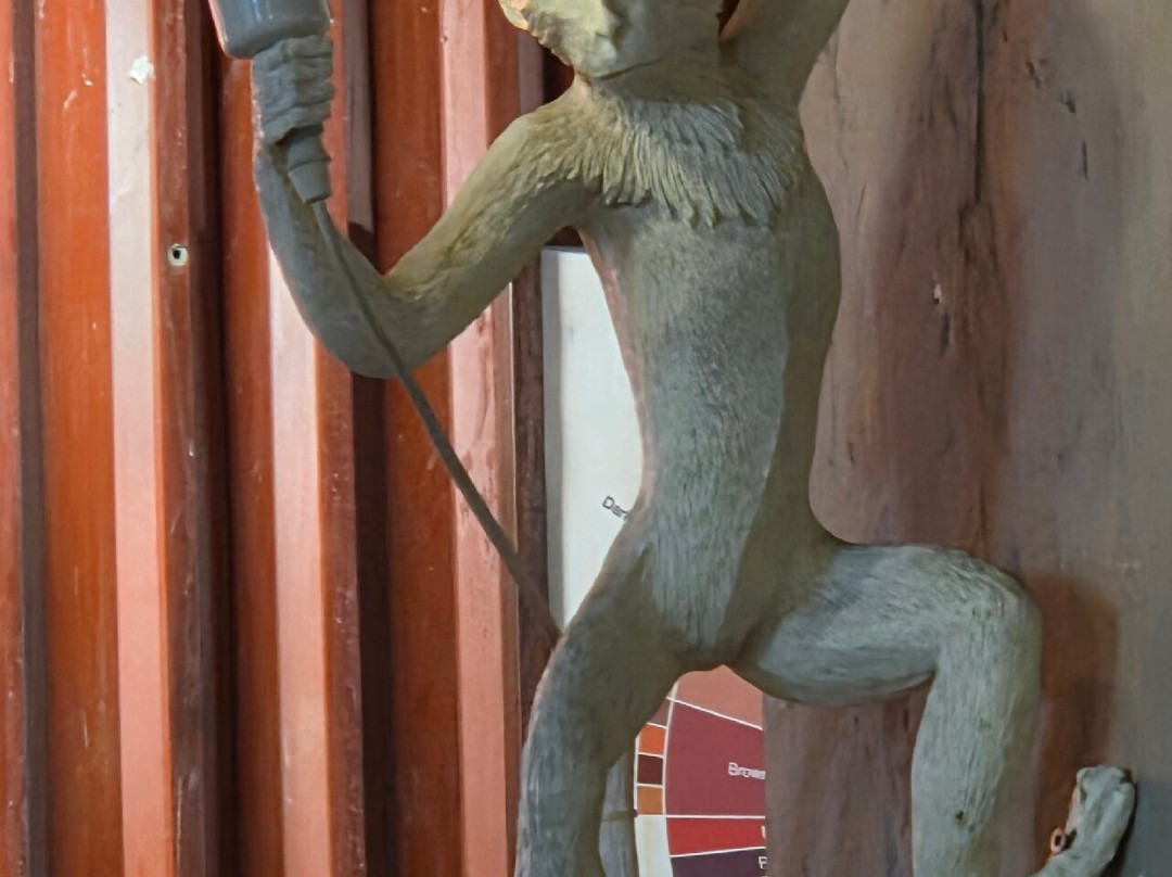 White Monkey Cafe & Bar, Nha Trang