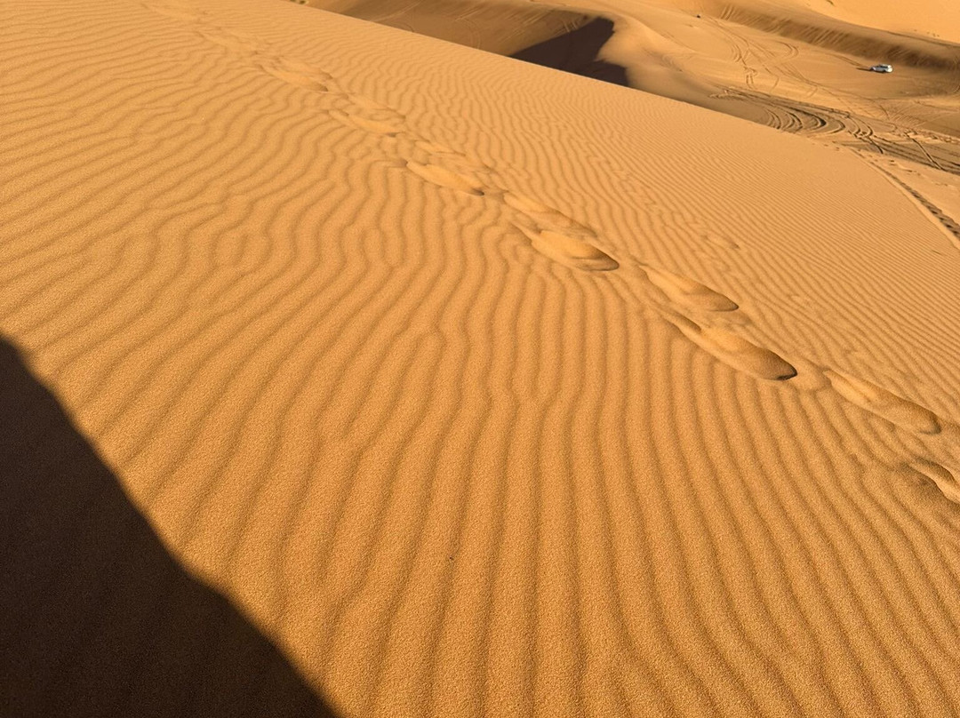 Marrakech Camel Trips-非斯必去景点