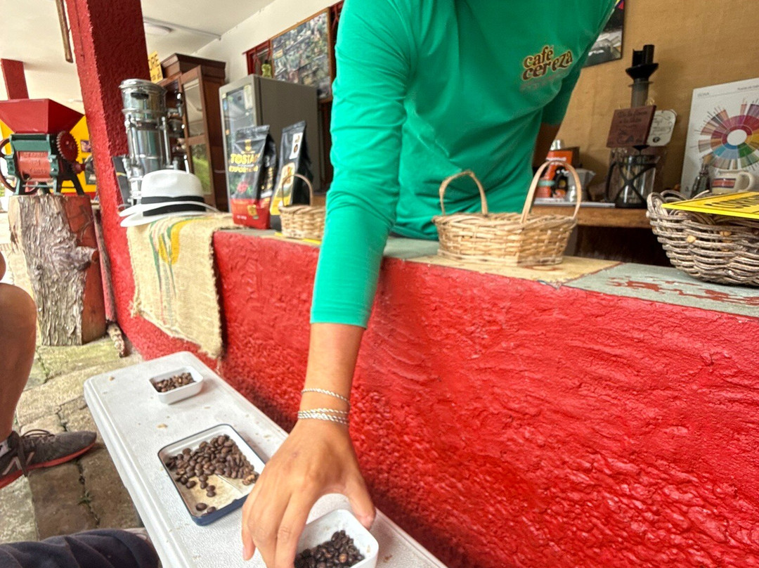 Finca Cafetera La Leona-麦德林必去景点
