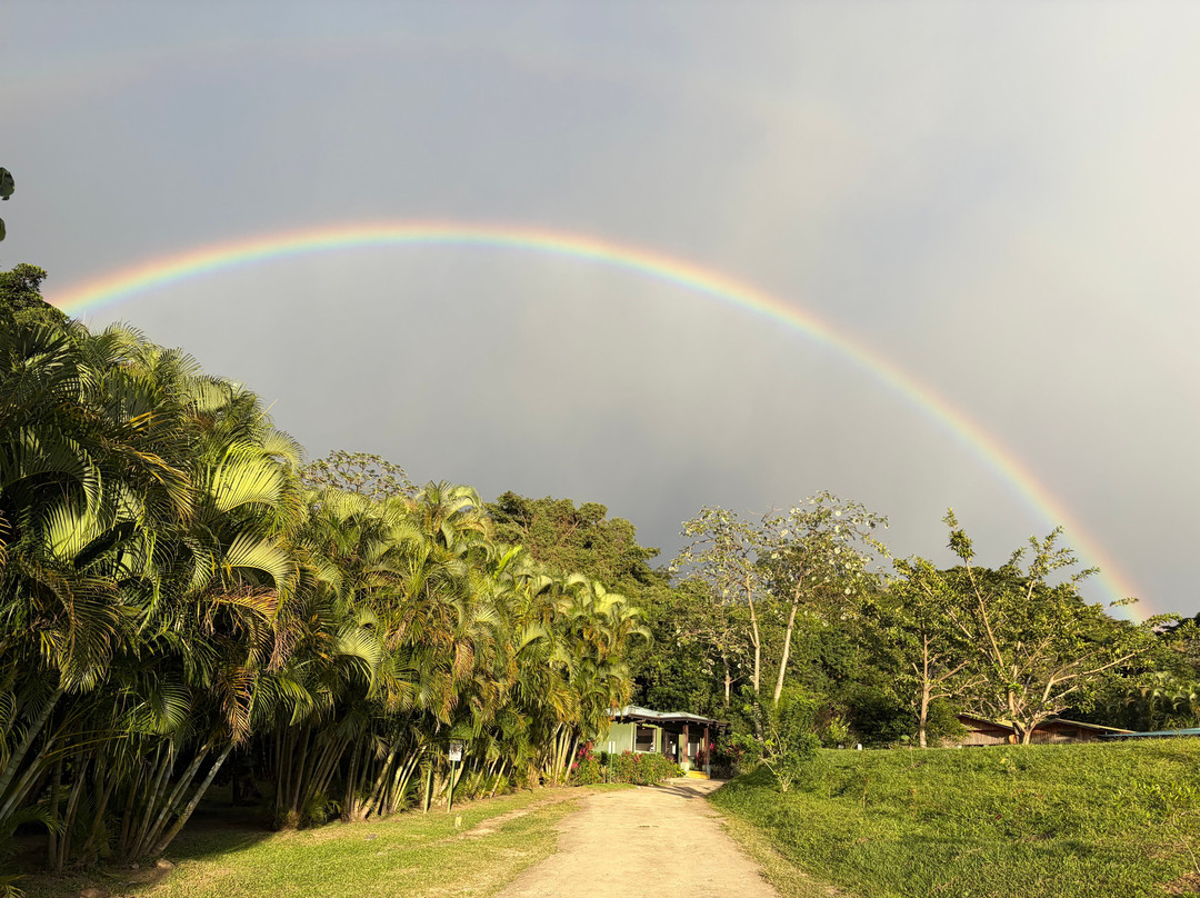 Buena Vista del Rincon Eco Adventure Park Hotel & Spa主图