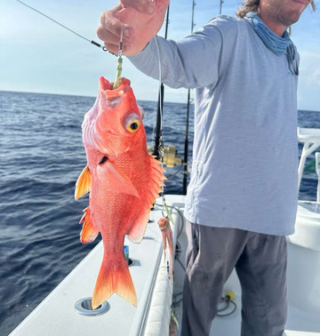 Watch Out Fishing-那不勒斯必去景点