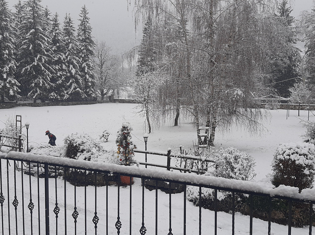 可科恩酒店主图