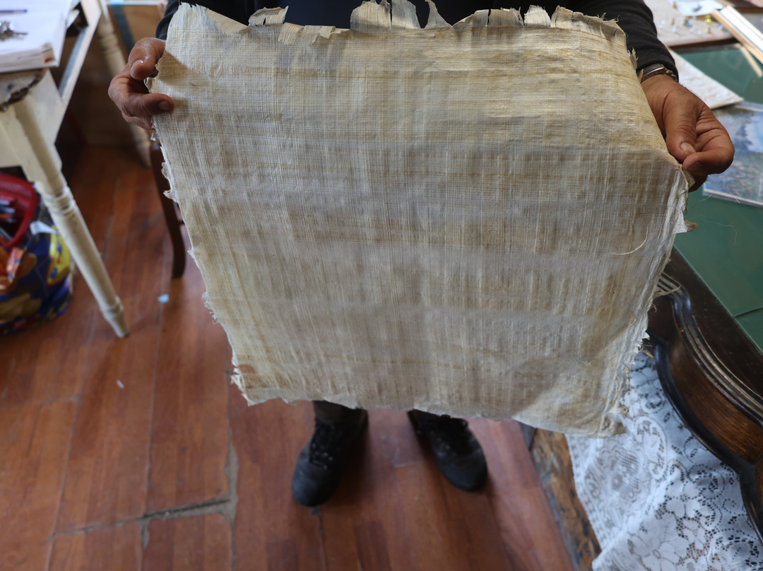 L'Angolo del Papiro-锡拉库扎必去景点