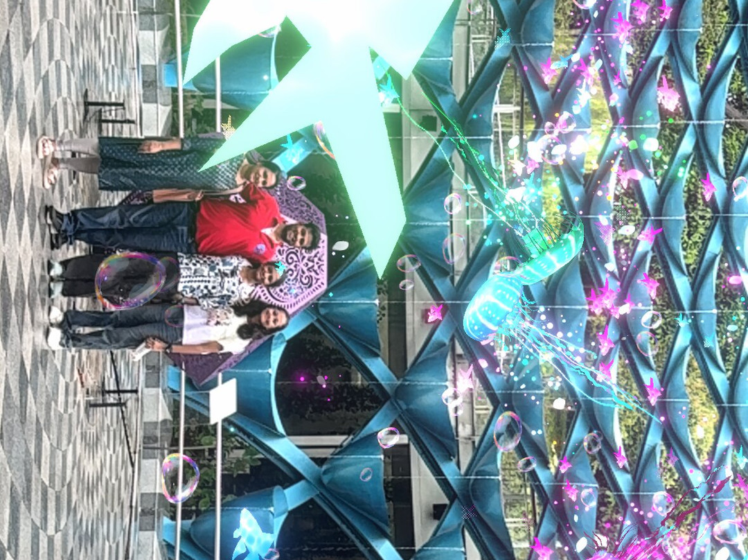 Sentosa SensoryScape-新加坡必去景点