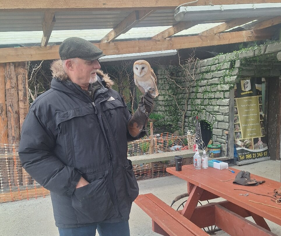 Mayfield Birds of Prey-Kilmacthomas必去景点