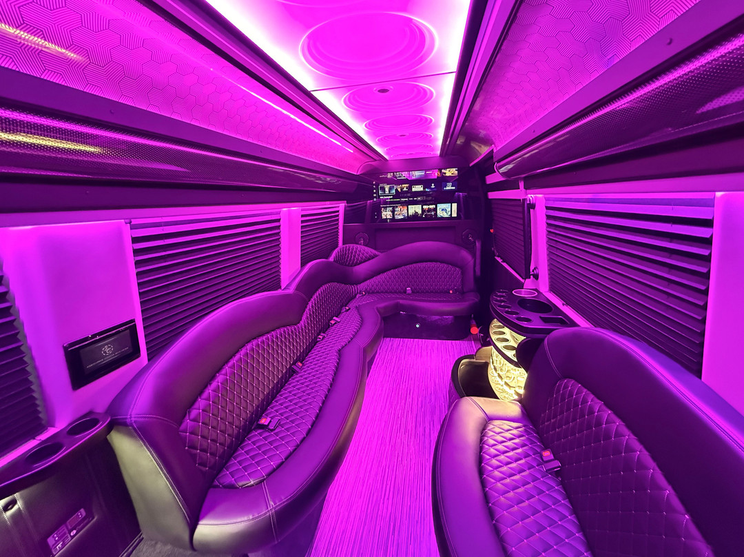 SF Black Car-戴利城必去景点