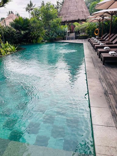 巴厘岛阿勒娜度假酒店-泳池