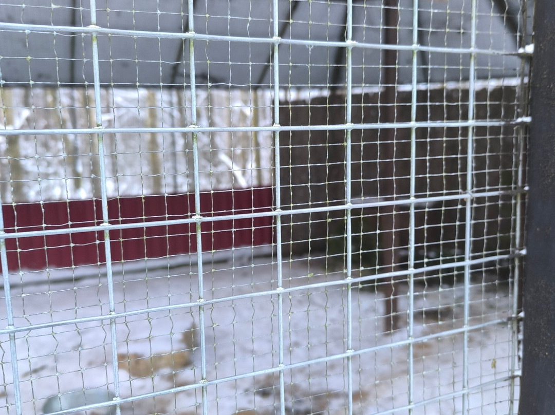 Bird Park Vorobyi-Vorobi必去景点