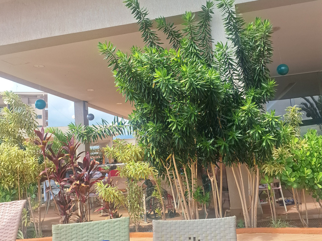 Kawana Park-Caldas Novas必去景点