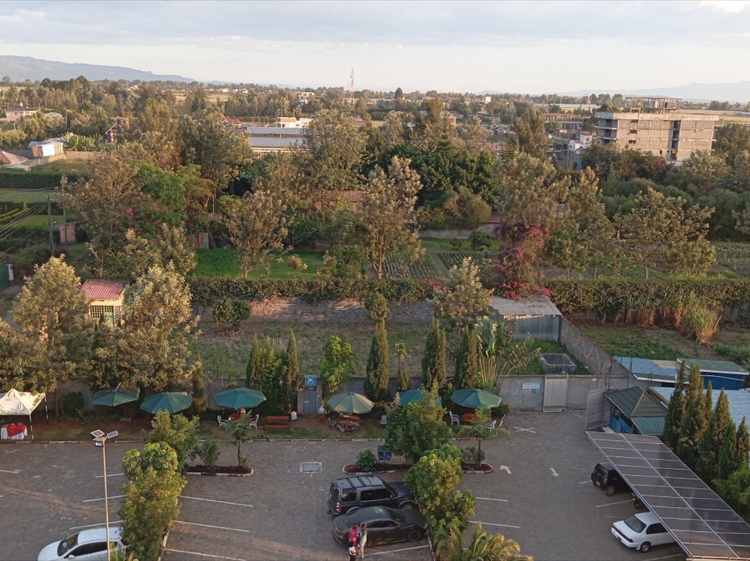 Buraha Zenoni Hotel and Resort主图