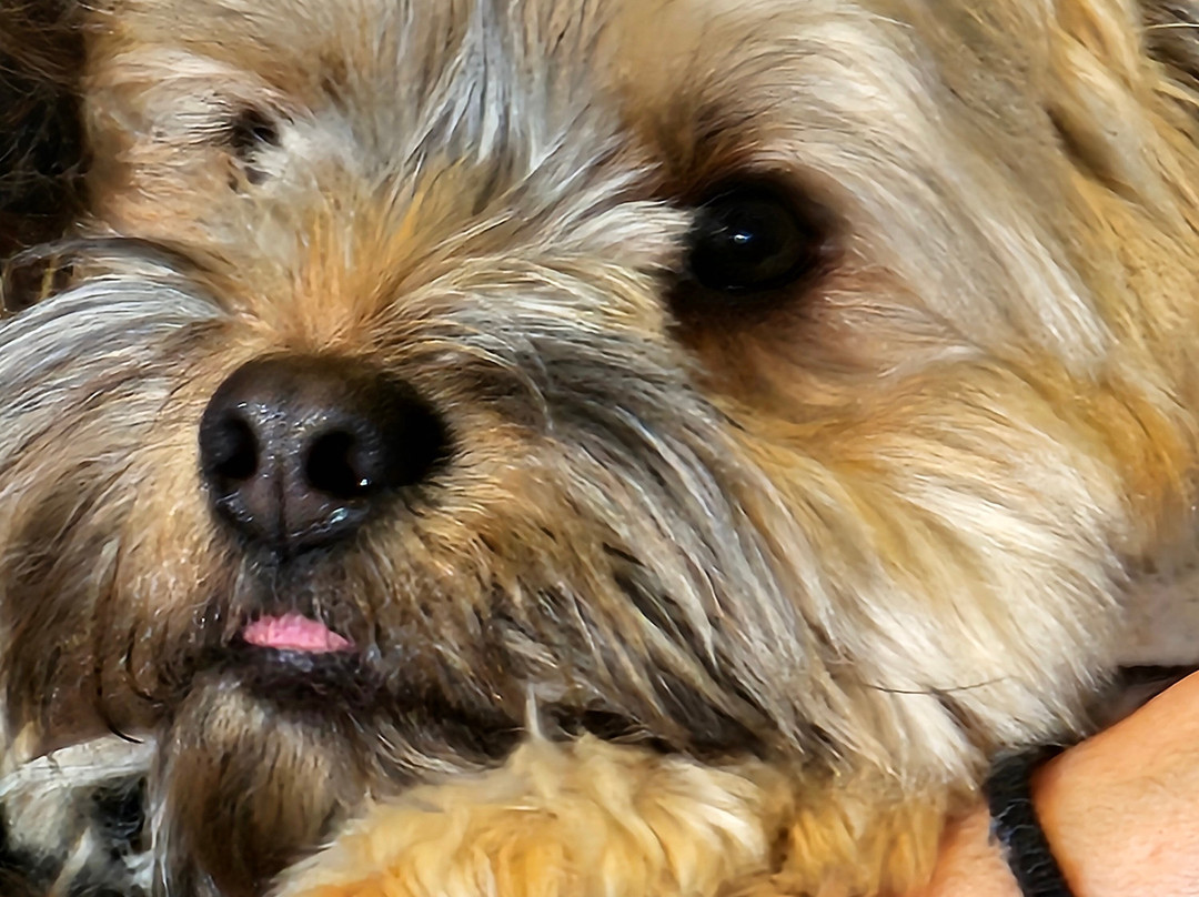 Postdoc Brewing Company-雷德蒙德必去景点