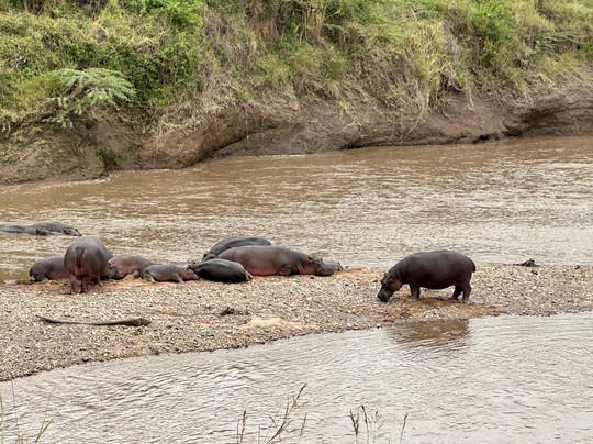 Enjoy Collection Tours and Safaris-马林地必去景点