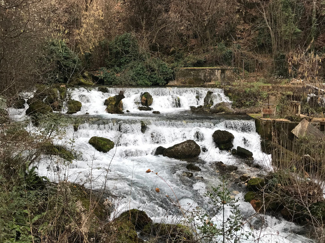 Nisi Margaritas Hotel主图