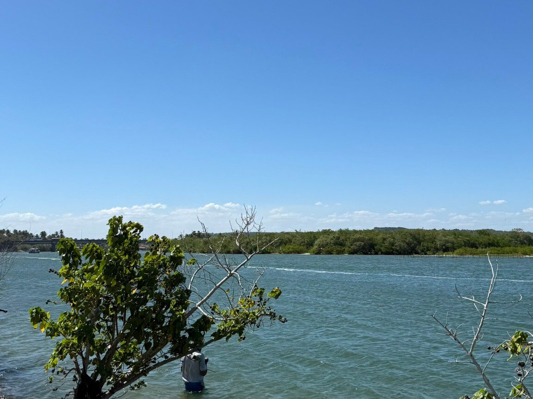Praia Saco da Pedra-Marechal Deodoro必去景点