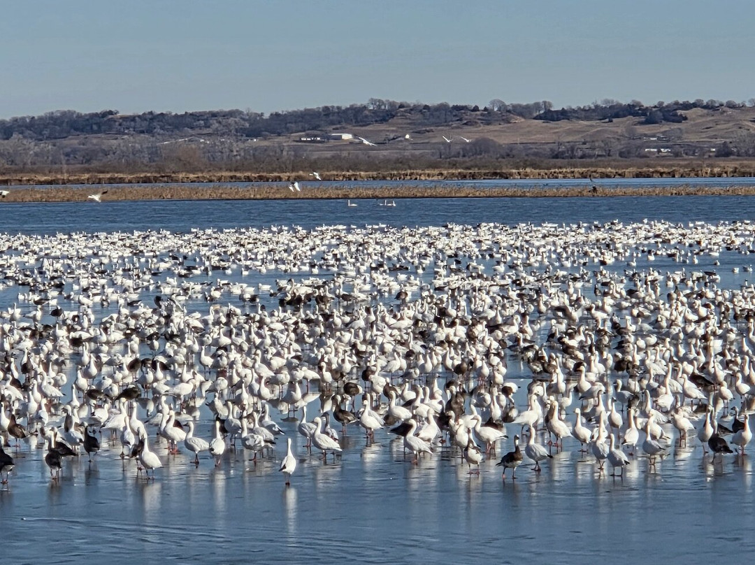 Loess Bluffs National Wildlife Refuge-Mound City必去景点