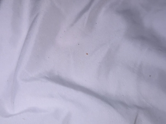 克利夫兰希尔顿恒庭酒店主图