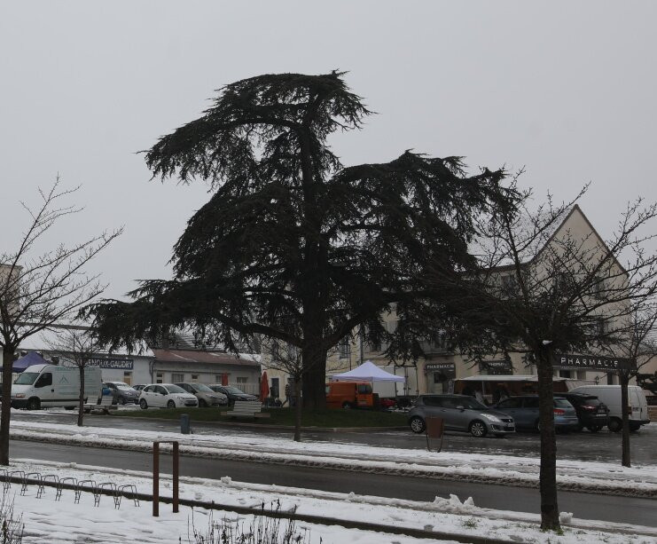 Le marché de Givry-Givry必去景点
