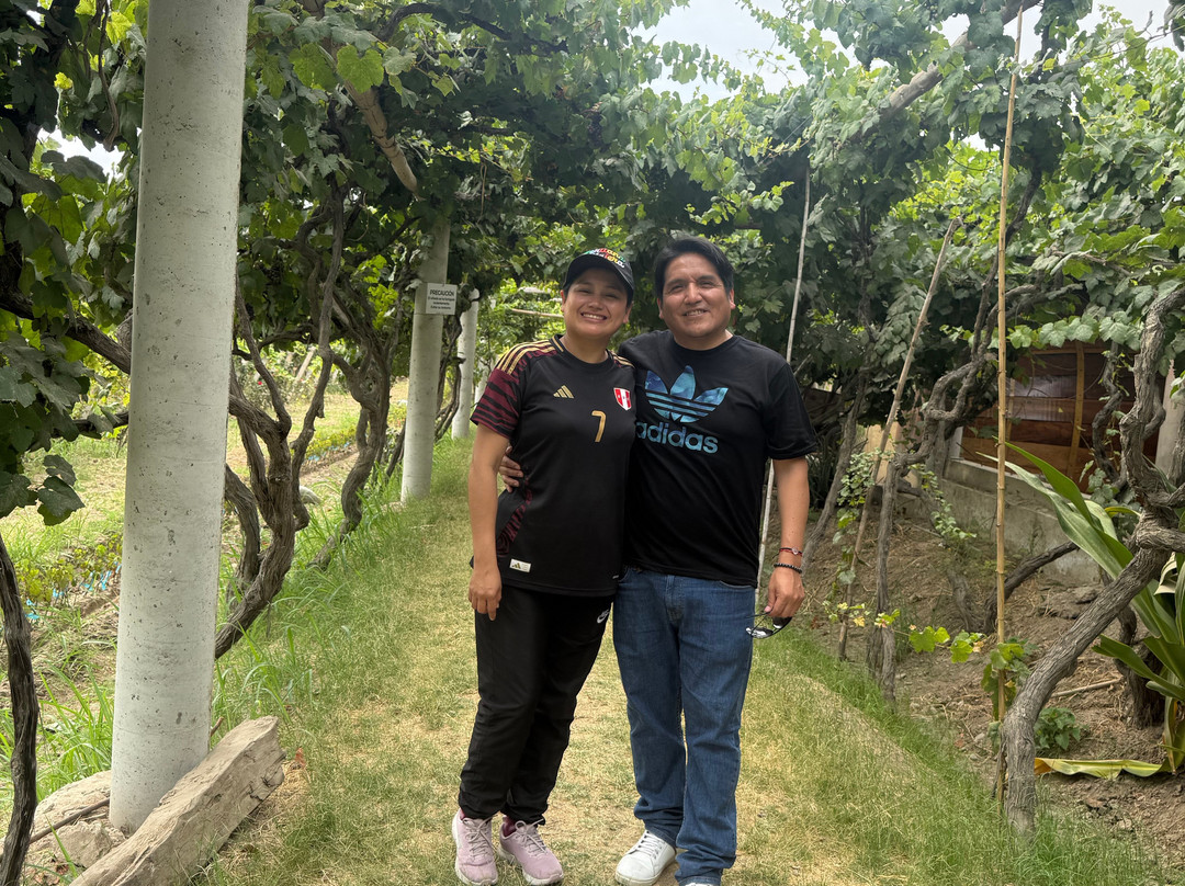 Bodega Y Viñedo Sotelo-伊卡必去景点