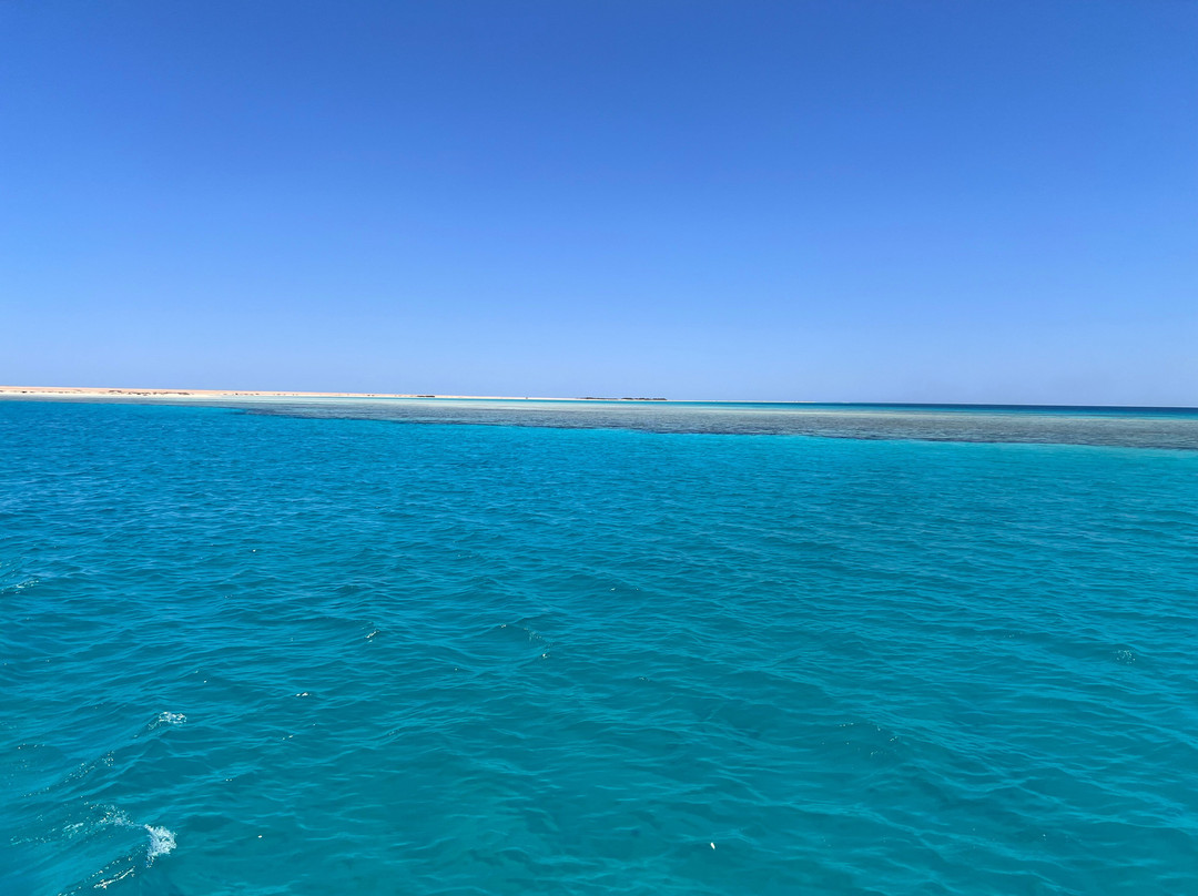 Wadi El Gemal National Park-马萨阿拉姆必去景点