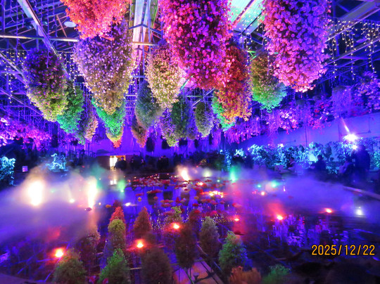 Begonia Garden-桑名市必去景点