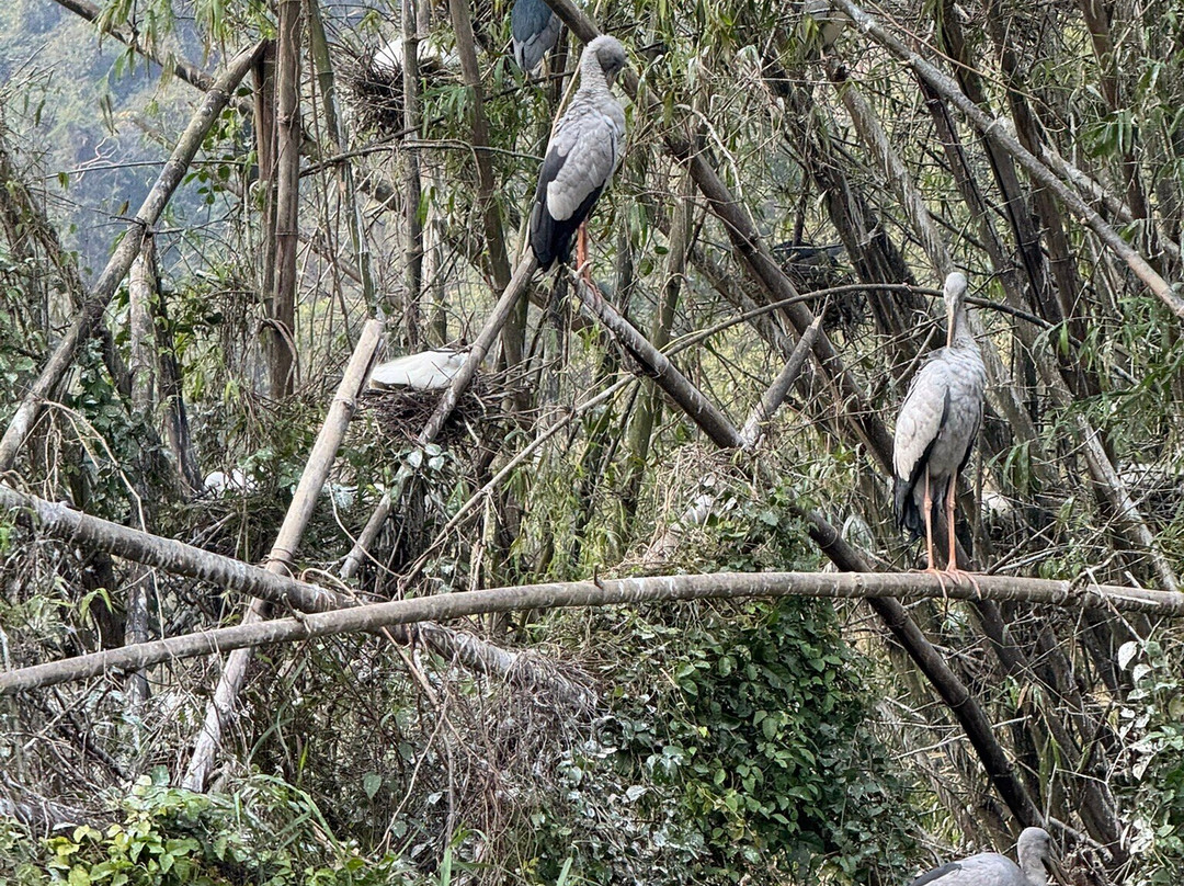 Thung Nham Bird Park-Ninh Hai必去景点