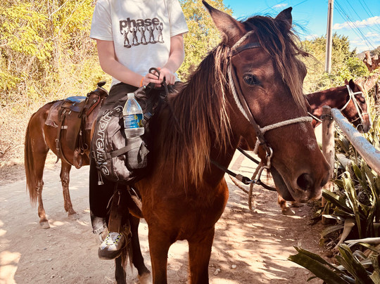 Horseback Riding Tours-特立尼达必去景点
