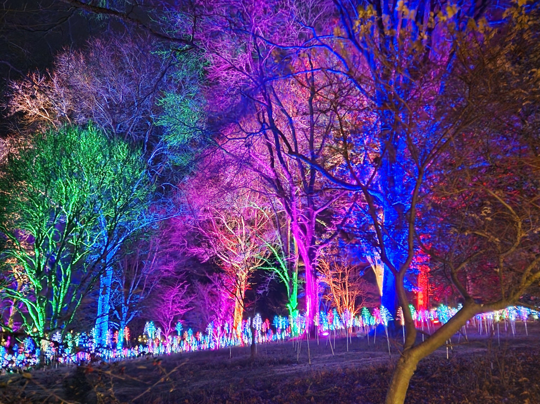 Light Up Trails-罗姆西必去景点