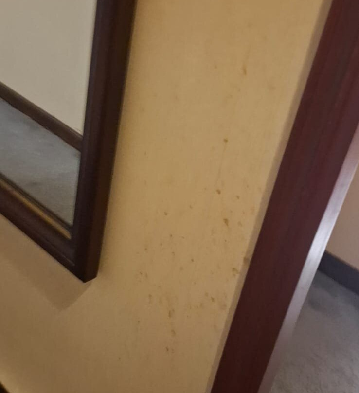 诺贝尔套房埃克塞尔苏联酒店主图