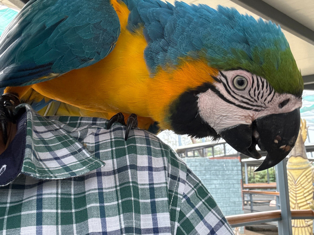 Trichy Birds Park-Tiruchirappalli District必去景点