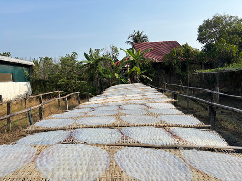 Sunday Go-芹苴必去景点