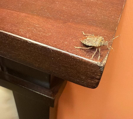 伊卡朗基餐厅乡村酒店主图