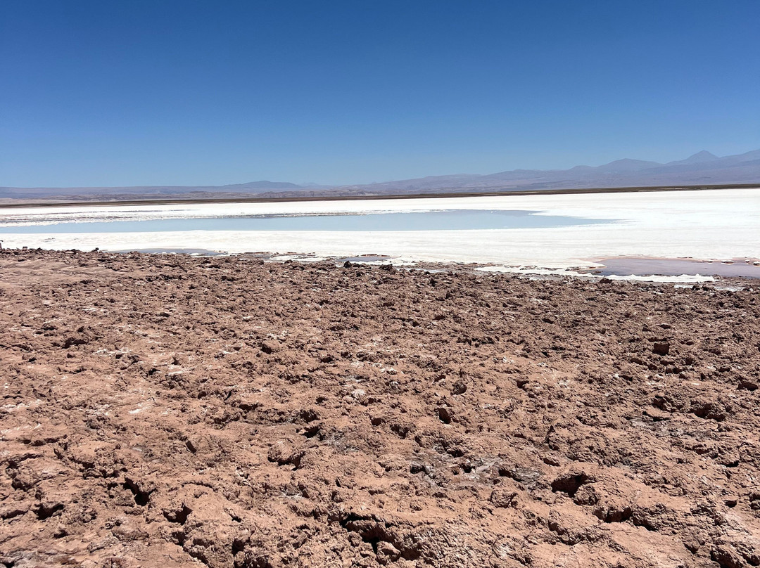 Ojos del Salar-圣佩德罗-德阿塔卡马必去景点