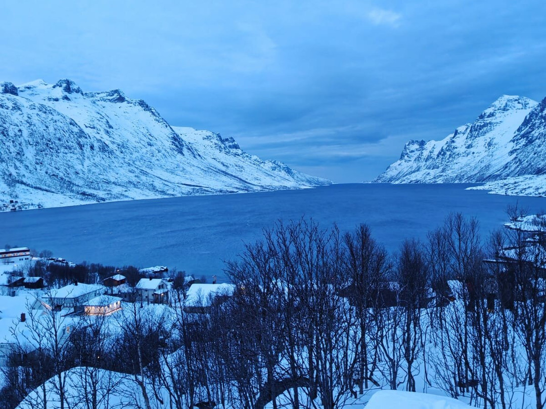 ArcticWild-特罗姆瑟必去景点