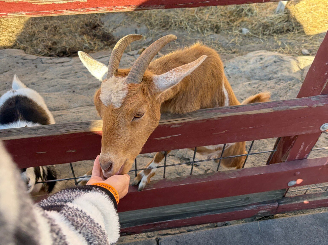 Rainforest Adventures-塞维尔维尔必去景点