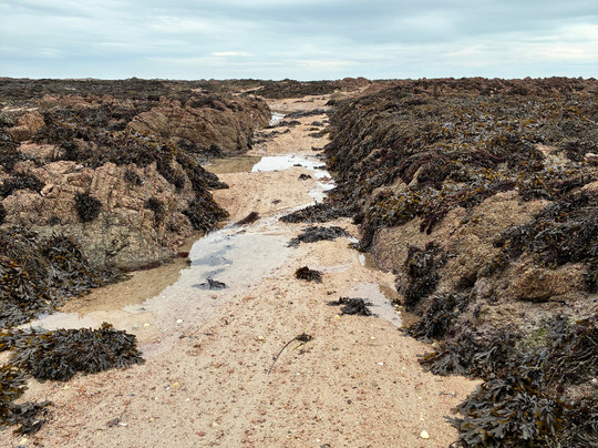 Jersey Walk Adventures-St. Helier必去景点