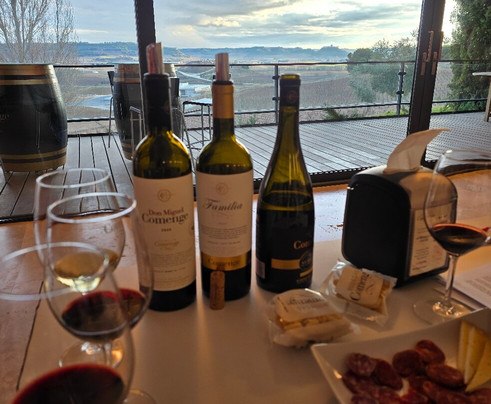 Bodegas Comenge-Curiel de Duero必去景点