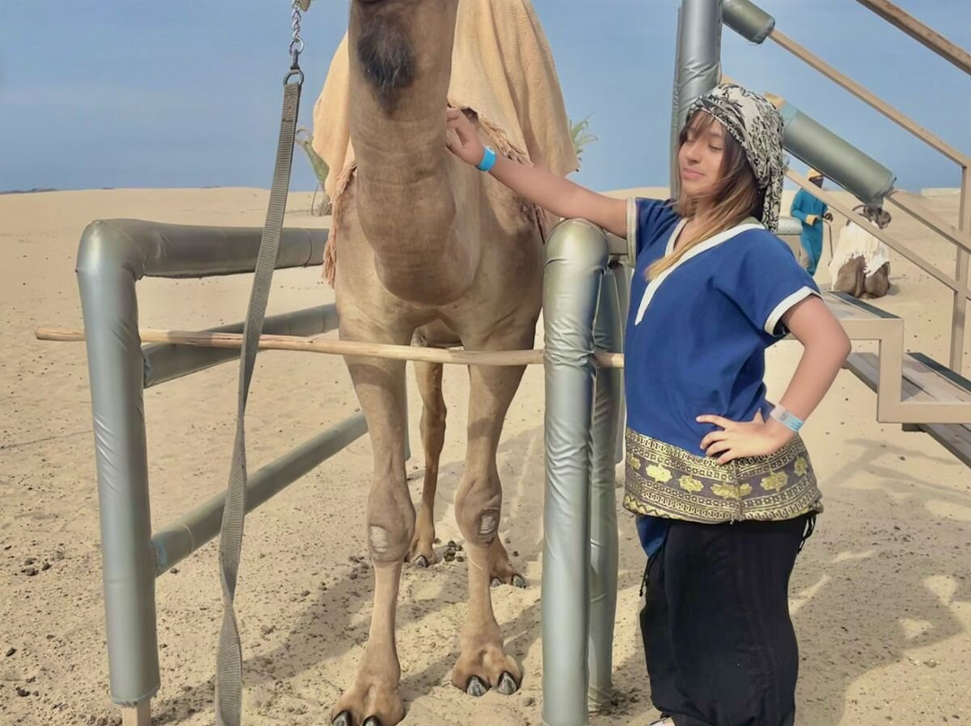 Dromedarius-伊卡必去景点