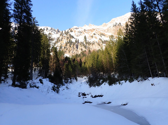 Fischer Adventures Day Tours-圣加仑必去景点