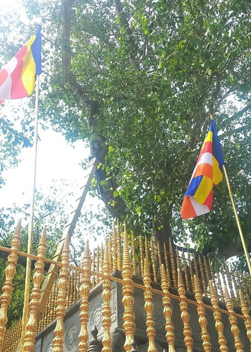 Anuradhapura Ancient City-阿努拉德普勒圣城必去景点