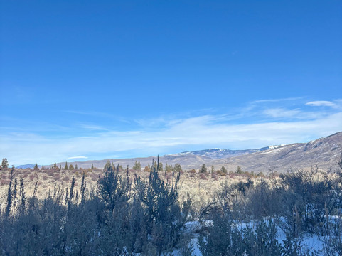Mountain Musher-Bond必去景点