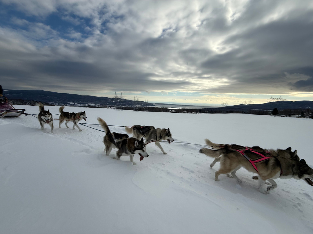 La Reine et le Millionnaire-Baie-St-Paul必去景点