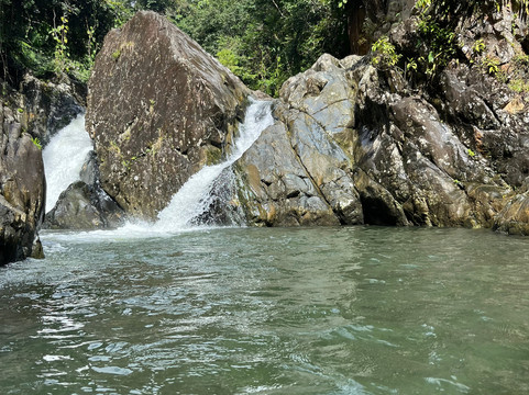 El Yunque Tours-Rio Grande必去景点