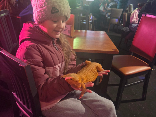 Willow Tree Family Farm-Shirebrook必去景点