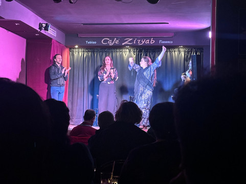 Café Ziryab Tablao Flamenco-马德里必去景点