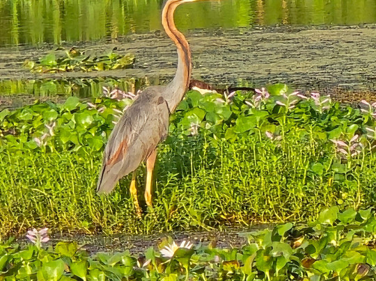 Wildlife Wonders Sri Lanka-唐卡拉必去景点