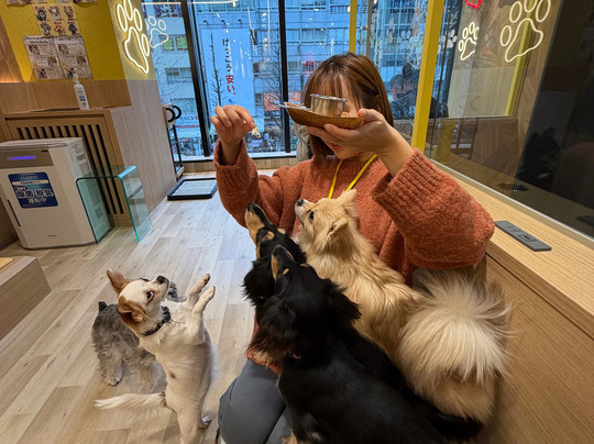 Dog Cafe Rio Akihabara-千代田区必去景点