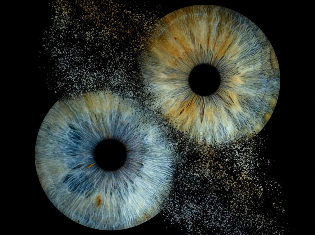 Iris Galerie Arnhem-阿纳姆必去景点