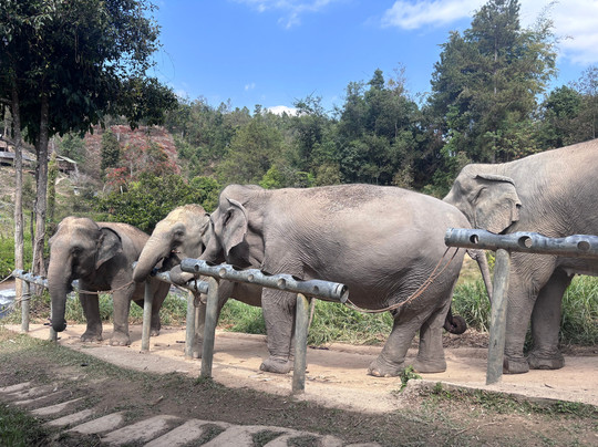 Chang Chill-Mae Win必去景点