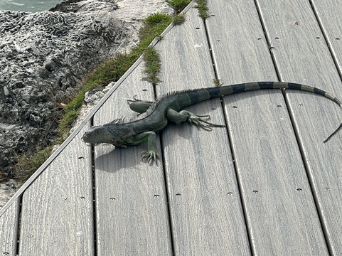 Chesapeake Beach Resort主图