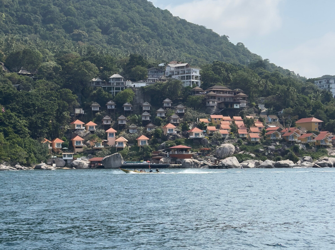 We Travel Snorkeling Adventures-涛岛必去景点